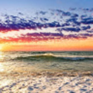 Meet your Posher, Dakota